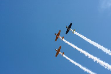 Romen akrobasi ekibi (Iacarii Acrobati) ve Jurgis Kairys Suceava Havacılık Fuarında gerçekleştirmek