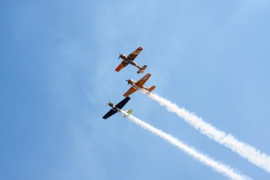 Romen akrobasi ekibi (Iacarii Acrobati) ve Jurgis Kairys Suceava Havacılık Fuarında gerçekleştirmek