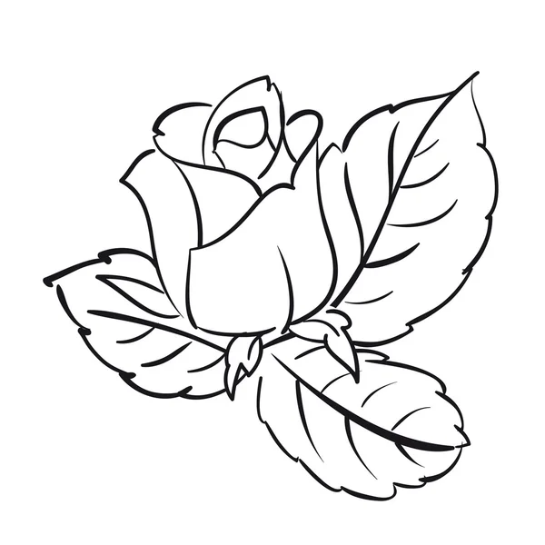 Rosas florecientes — Vector de stock