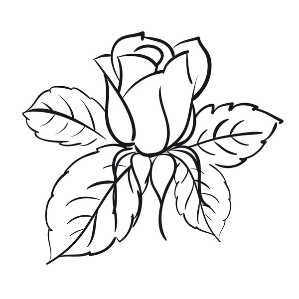 Rosas florecientes — Archivo Imágenes Vectoriales