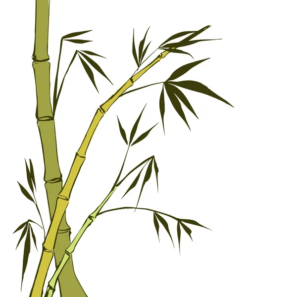 Tiges de bambou vert — Image vectorielle