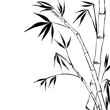 Bambu.