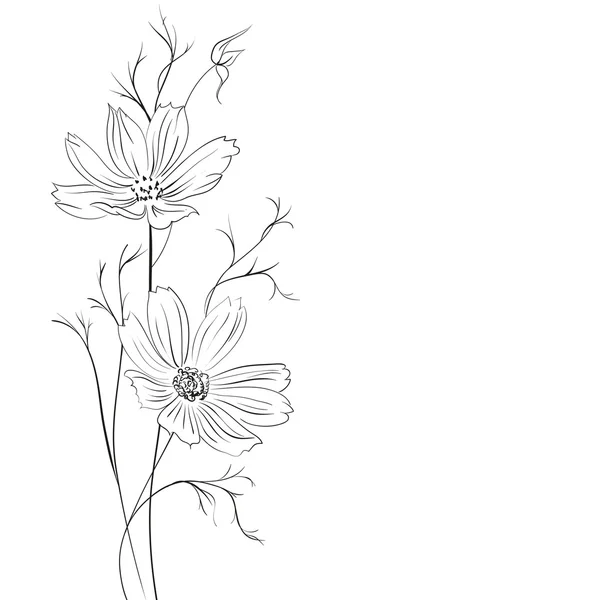 Smörblomma blomma — Stock vektor