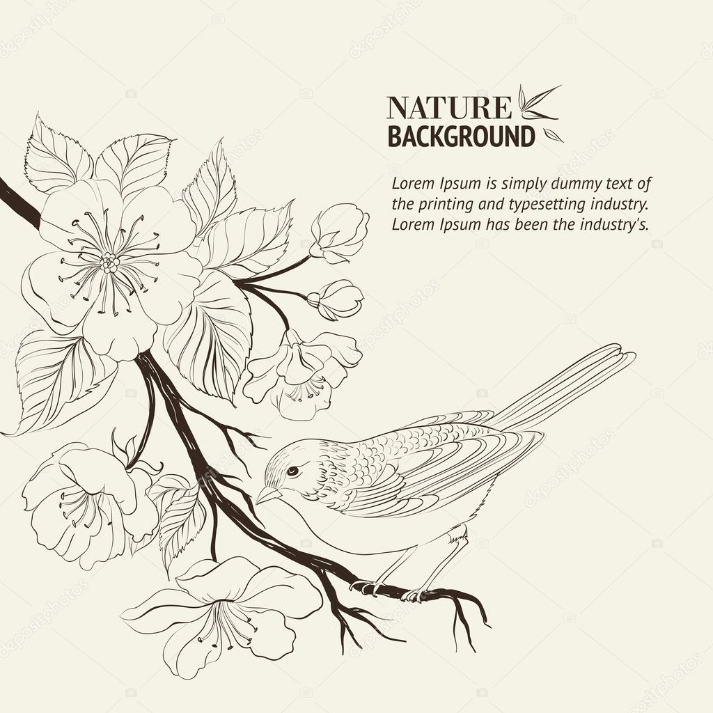 Hand drawn bird on sacura branch.