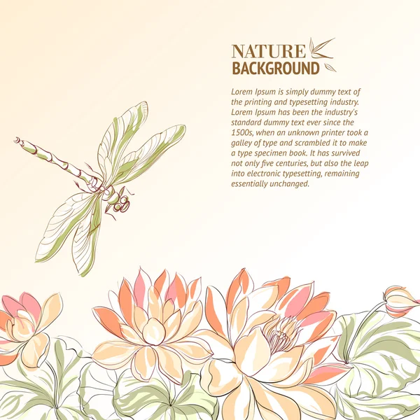 Lotus flower and dragonfly — Stock Vector