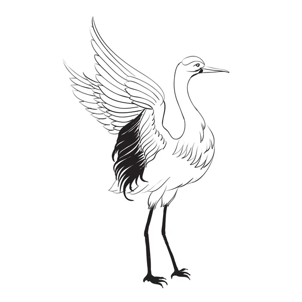 Heron isolado sobre branco . — Vetor de Stock
