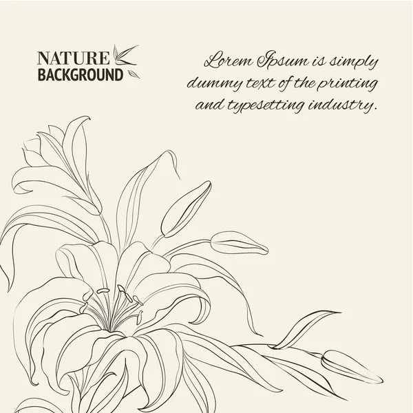 Flor de lírio isolado sobre branco. Ilustração vetorial — Vetor de Stock