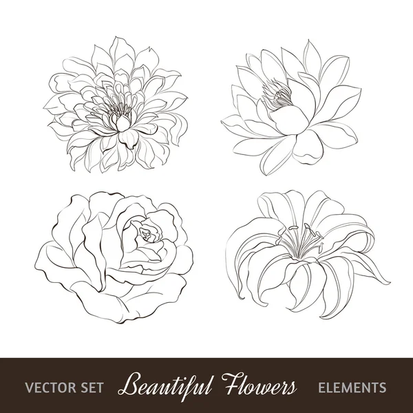 Conjunto de flores aisladas sobre blanco. Ilustración vectorial — Vector de stock