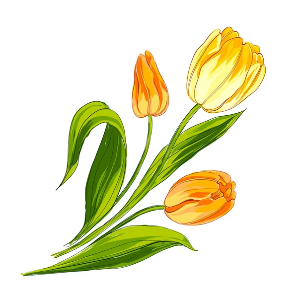 Ramo de tulipán — Vector de stock