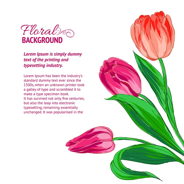 Tulipani rossi e testo campione — Vettoriale Stock