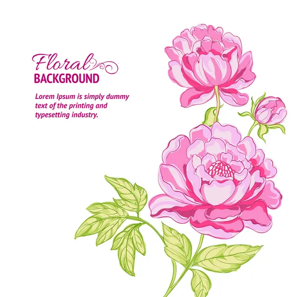 Pink peonies background with sample text — Stock Vector