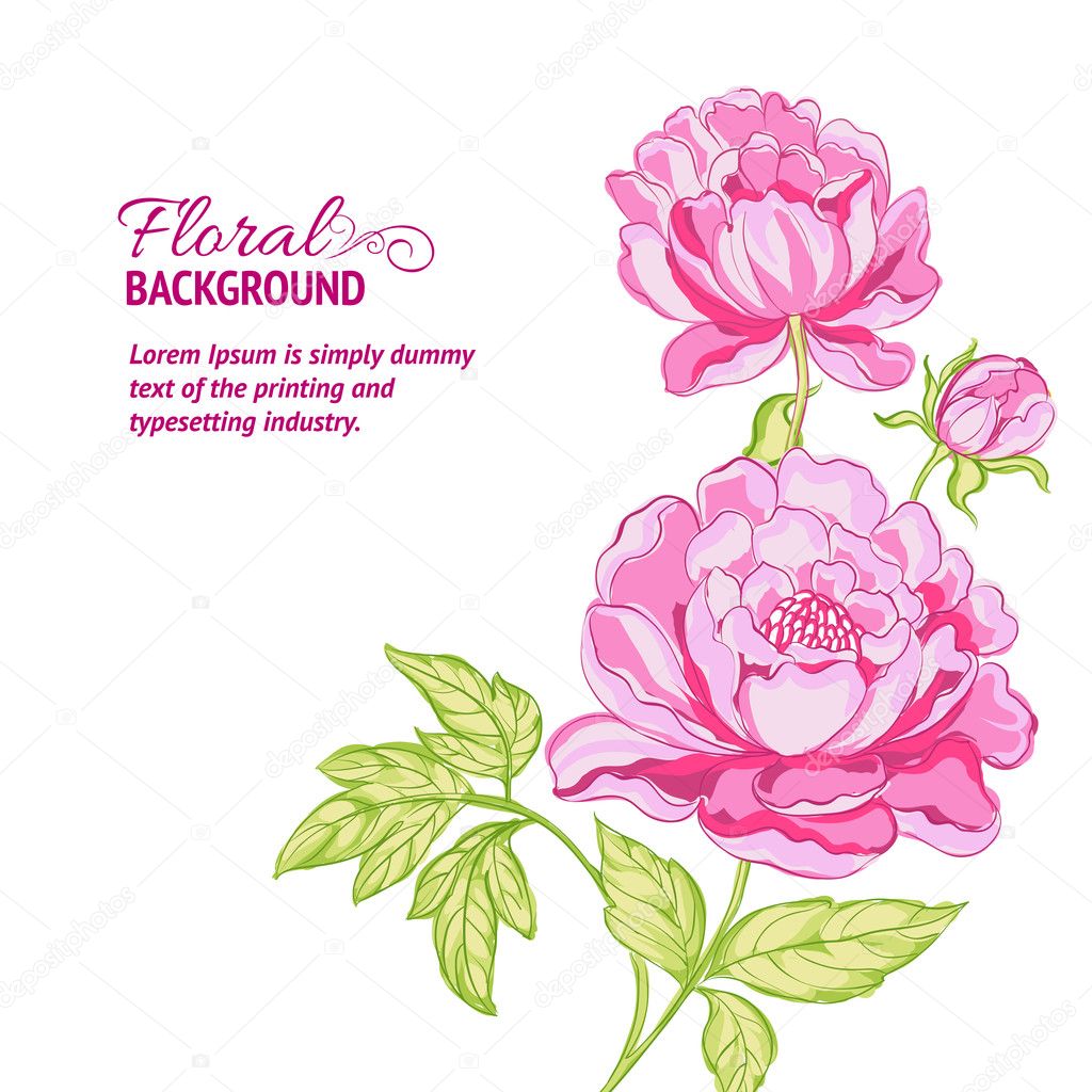 Pink peonies background with sample text
