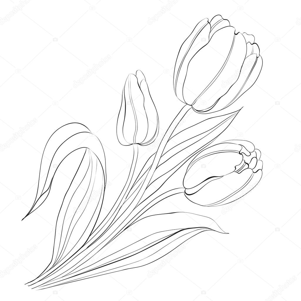 Hand drawn tulips. Stock Vector Image by ©Kotkoa #25453529