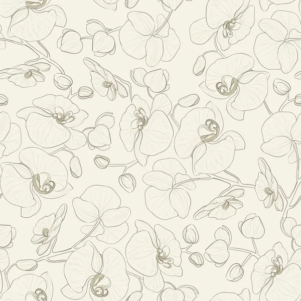 Modèle sans couture d'orchidée. — Image vectorielle