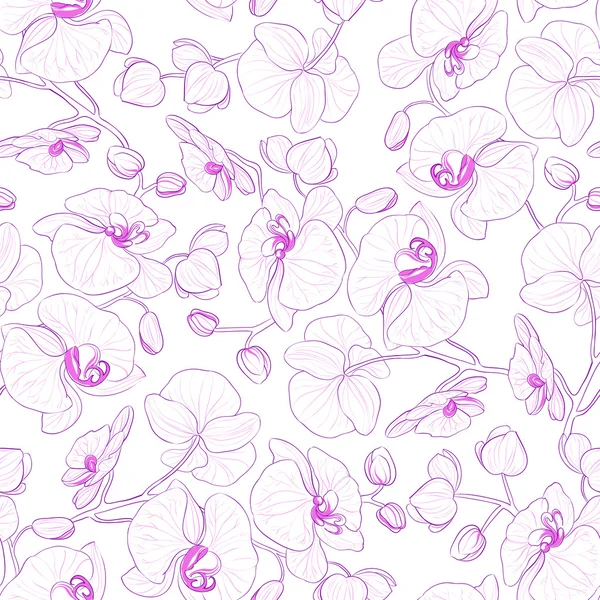 Modèle sans couture d'orchidée. — Image vectorielle