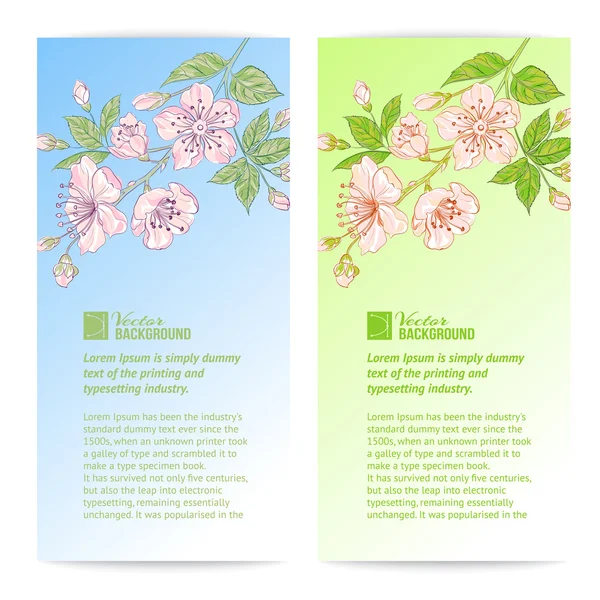 Twee sakura banners. — Stockvector