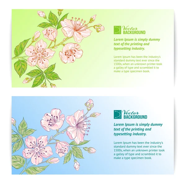 Twee sakura banners. — Stockvector