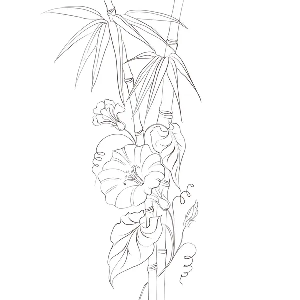 Bindweed flor y bambú . — Vector de stock