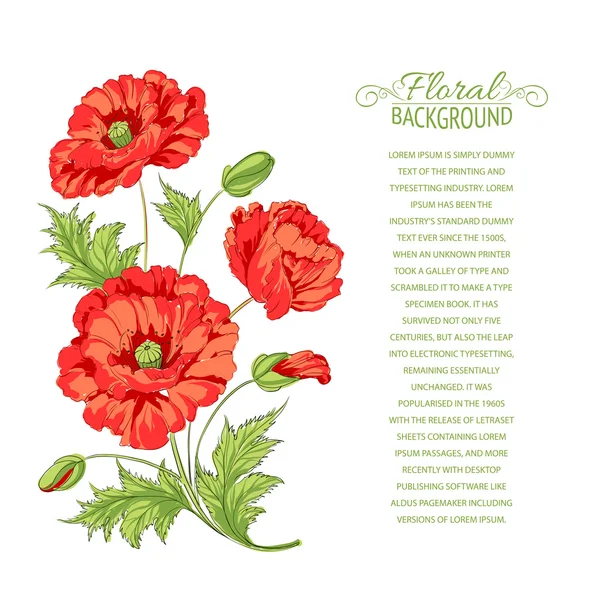 Rode papaver kaart. — Stockvector