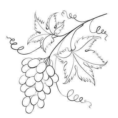 grapevine demet.