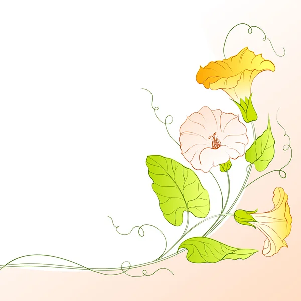 Bindweed on a white. — Stock Vector