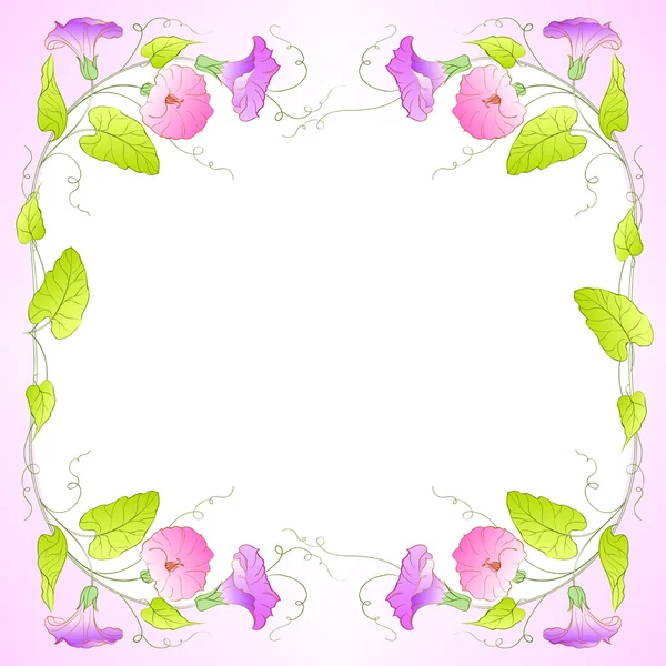 Flowers Frame of bindweed. — Stock Vector