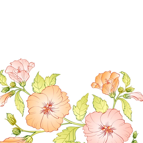 Flor de hibisco aislada sobre fondo blanco. — Vector de stock