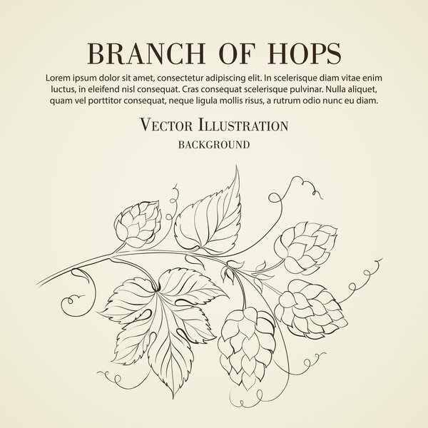 Рукав с фильтрами изолирован
.