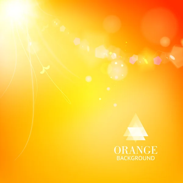 Bright orange background with a branch and leaves glowing — Stock Vector