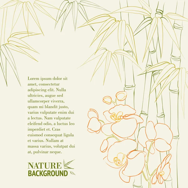 Bamboe stengels met orchidee. — Stockvector