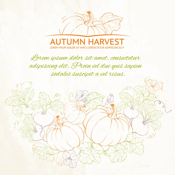 Calabazas, cosecha de otoño . — Vector de stock