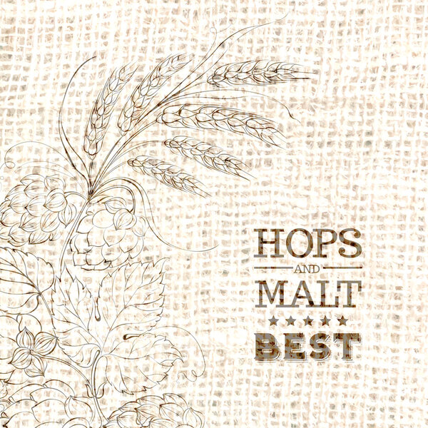Граница векторной иллюстрации хмеля
