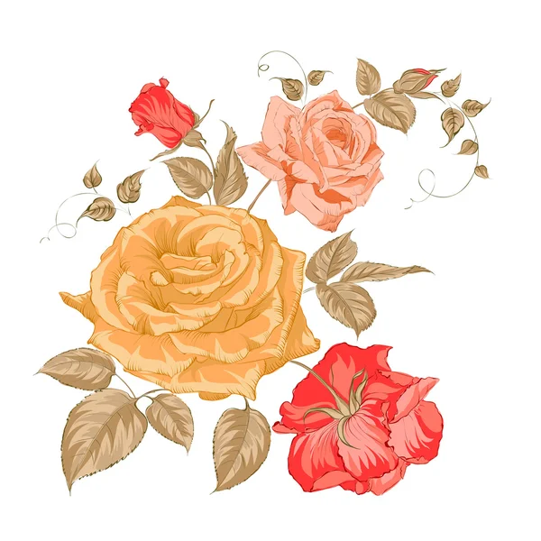 Bouquet of roses. — Stock Vector