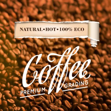 Kavrulmuş kahve çekirdeği..