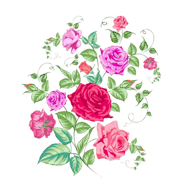 Roses branch, floral background. — Stock Vector