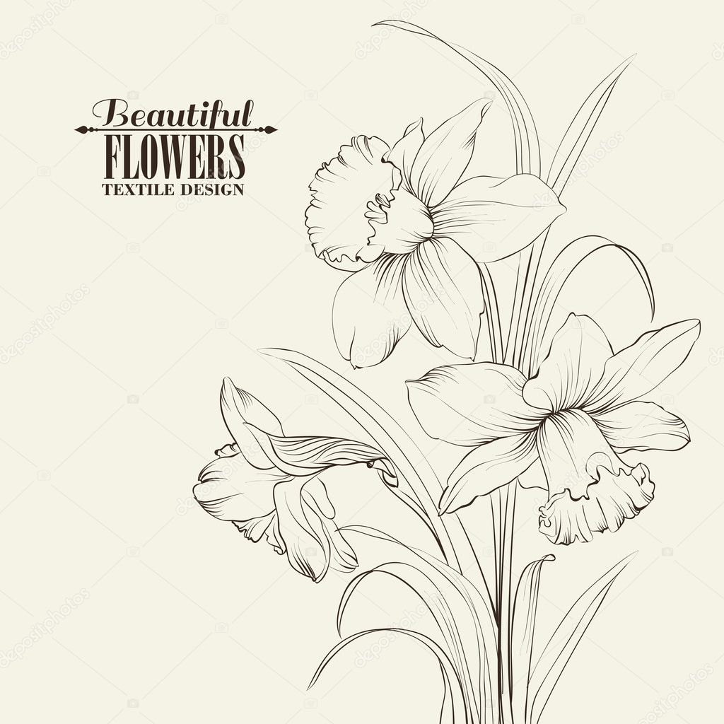 Tied narcissus flowers isolated on white background