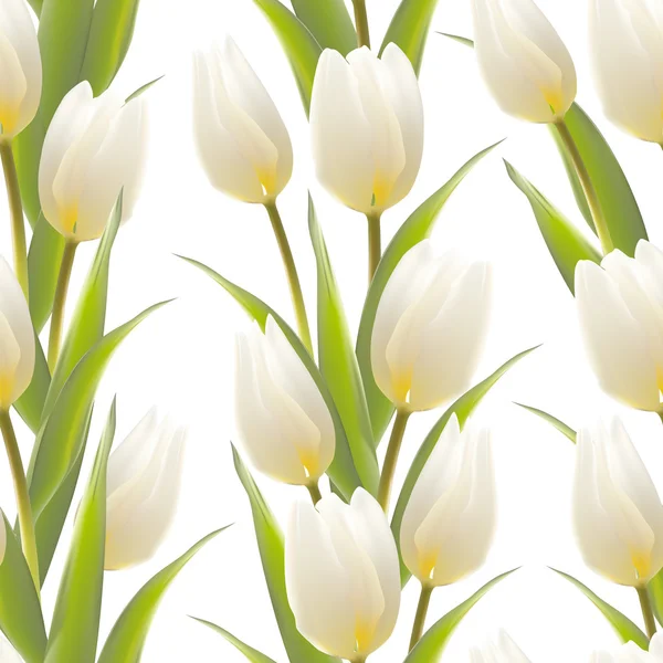 Tulipán flores de primavera patrón sin costura . — Vector de stock