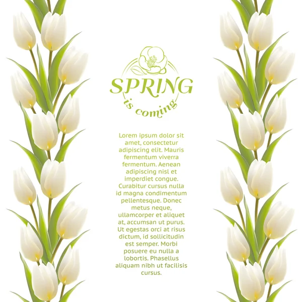 Tulip tavaszi virágok csokor, a kártya tervezés. — Stock Vector