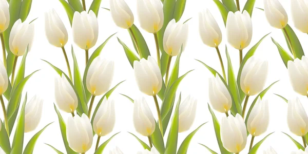Tulipa, fundo floral, padrão sem costura . — Vetor de Stock