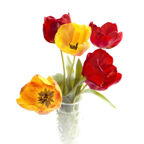 Ramo de tulipanes coloridos . — Foto de Stock