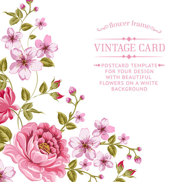 Luxurious color peony background.