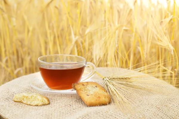 Galletas caseras y taza de té . — Foto de Stock