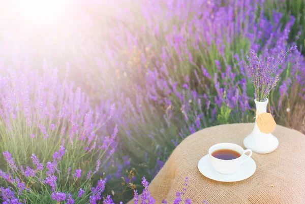 Composizione lavanda sul campo . — Foto Stock