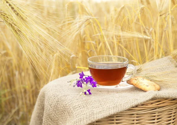 Galletas caseras y taza de té . —  Fotos de Stock