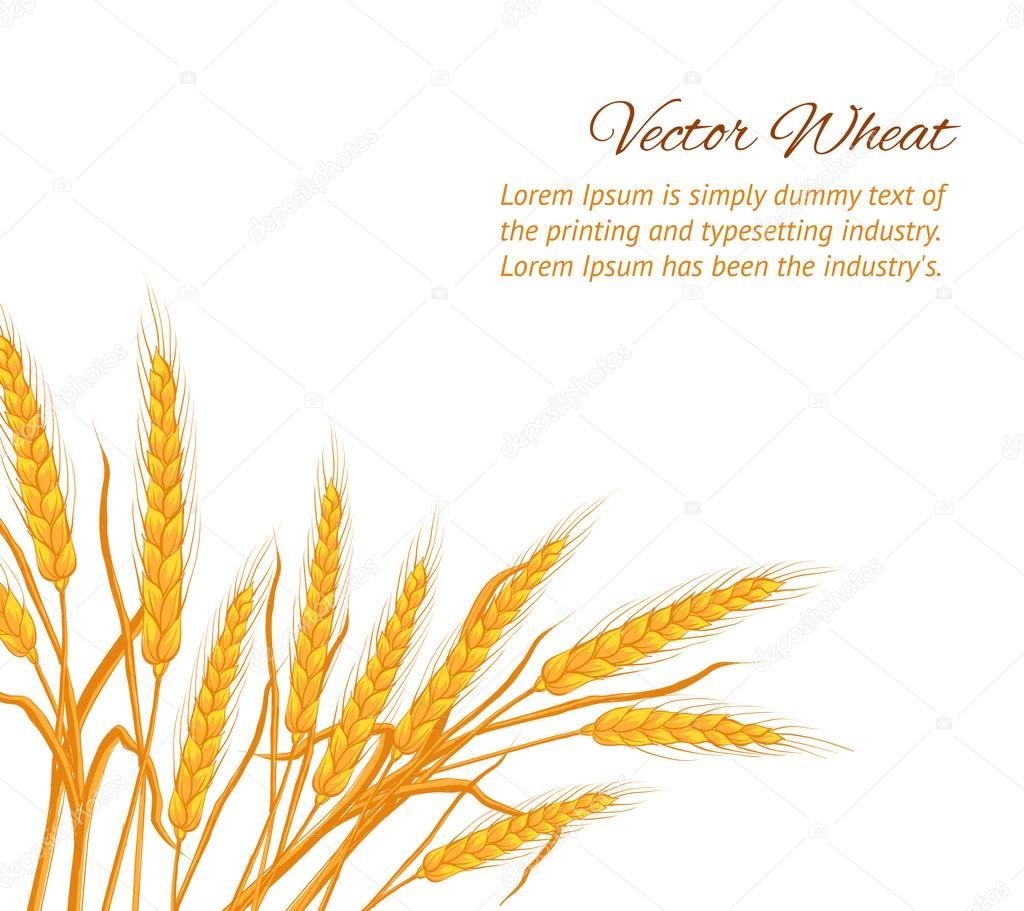 Wheat ear card.