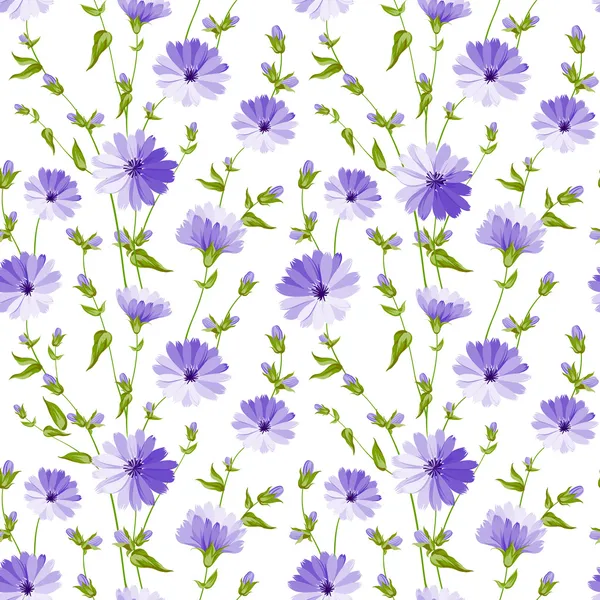 Chicory pattern. — Stock Vector