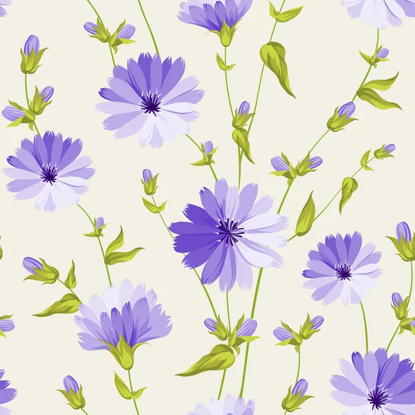 Chicory pattern. — Stock Vector