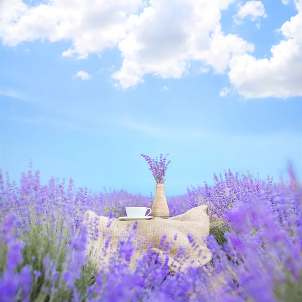 Lavendelkomposition auf dem Feld. — Stockfoto