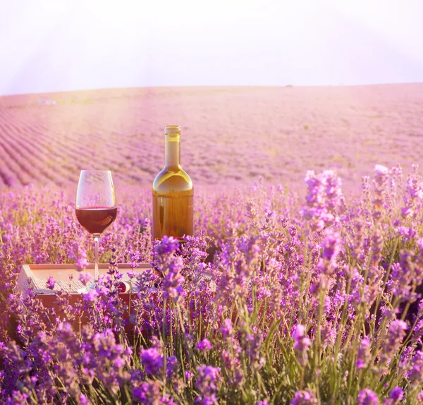 Flasche Wein. — Stockfoto