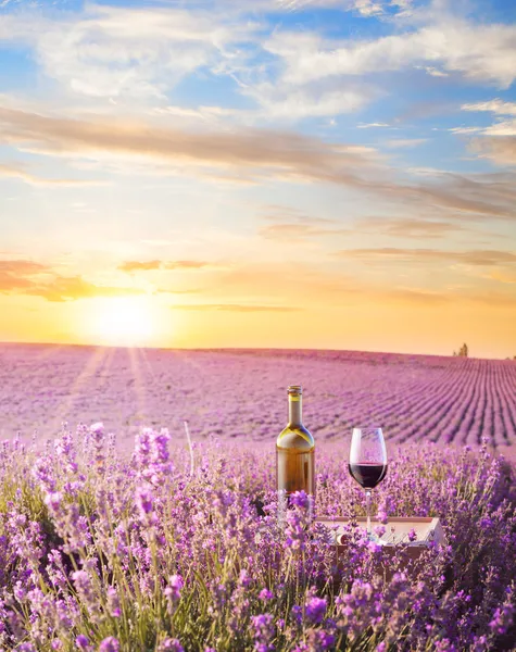 Flasche Wein. — Stockfoto